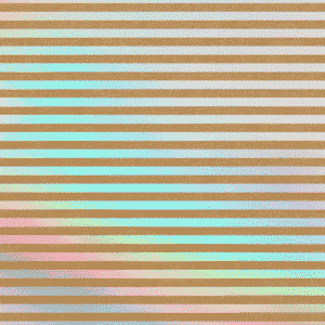 006 Rayas - Kraft - Holográfico