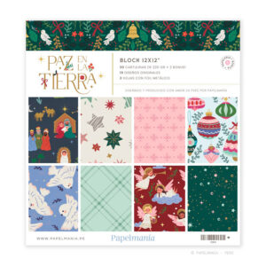 Paz En La Tierra - Block 12x12"