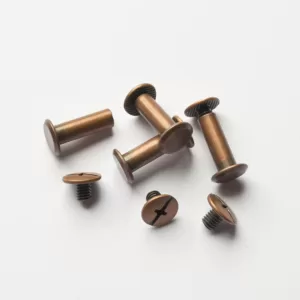 Tornillos Chicago Oro viejo - 8 unds